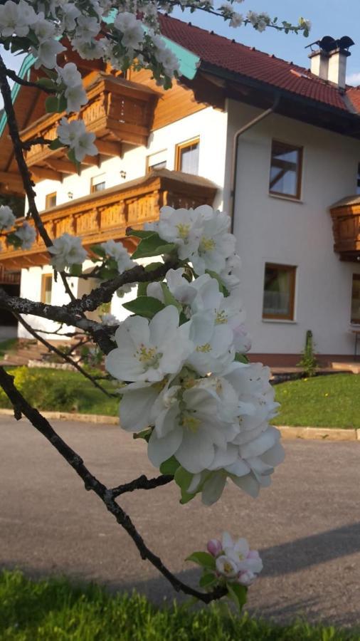 Lederhof Apartment Abtenau Exterior foto